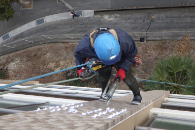 特定（特殊）建築物定期報告