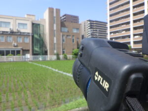 赤外線調査